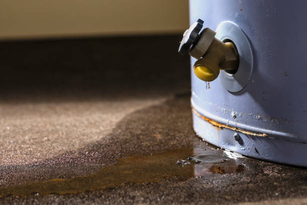 Best 24/7 water damage repair  in Aventura, FL