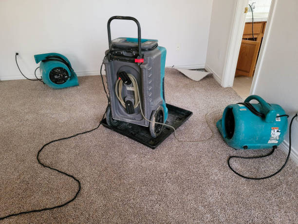 Best 24-hour water damage restoration  in Aventura, FL