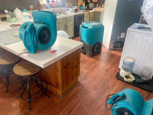 Best Water damage cleanup near me  in Aventura, FL