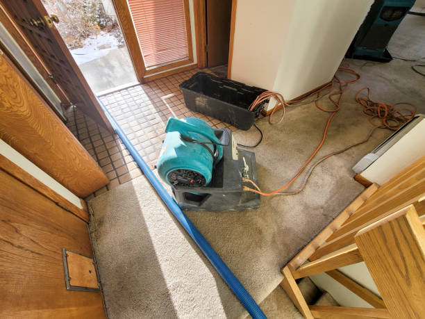 Best Water damage restoration company  in Aventura, FL