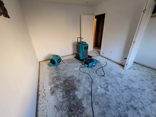 Best Basement water damage restoration  in Aventura, FL