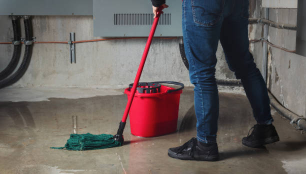  Aventura, FL Water damage restoration Pros