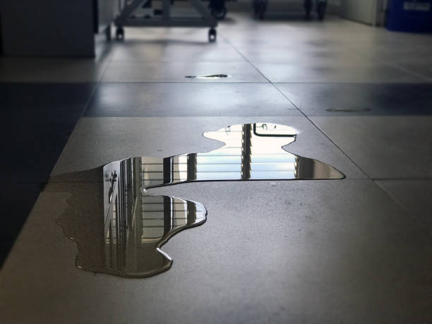 Best Commercial water damage restoration  in Aventura, FL