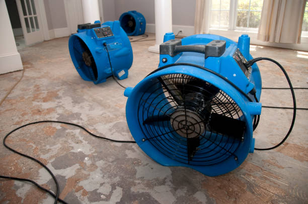 Best Carpet water damage restoration  in Aventura, FL
