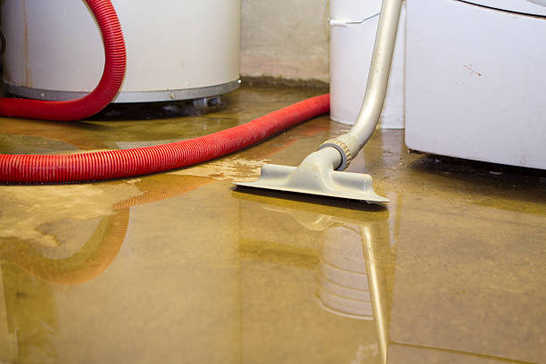 Best Water damage restoration near me  in Aventura, FL