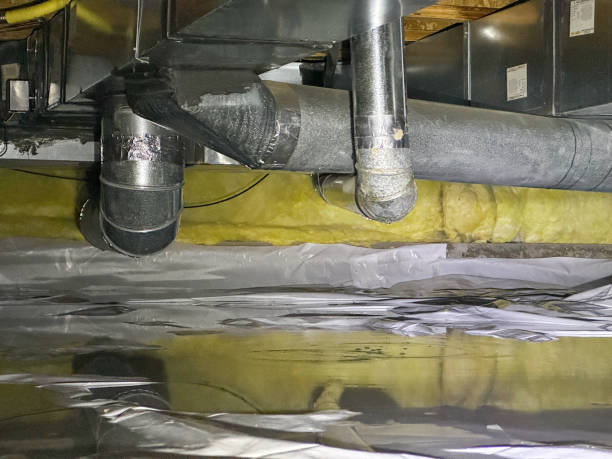 Best Mold removal after water damage  in Aventura, FL