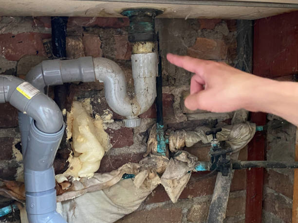 Best Local water damage restoration  in Aventura, FL