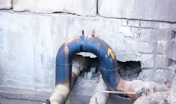 Best Professional water damage repair  in Aventura, FL