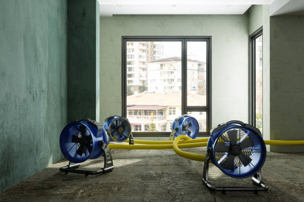 Best Flooded house restoration  in Aventura, FL